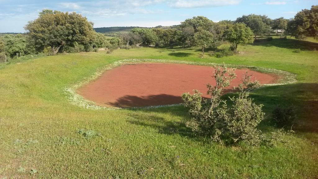 Casa Rural La Brena Talaván Екстериор снимка